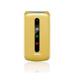 Brondi President Oro Telefono Cellulare Senior