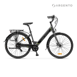 E-BIKE CITY ARGENTO OMEGA 28" MOTORE BAFANG 250W 36V 10.4AH  AUT. 70 KM - AMM BK