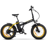 Argento Minimax Gold Fat E-Bike 20" in Alluminio con Motore Bafang 250W